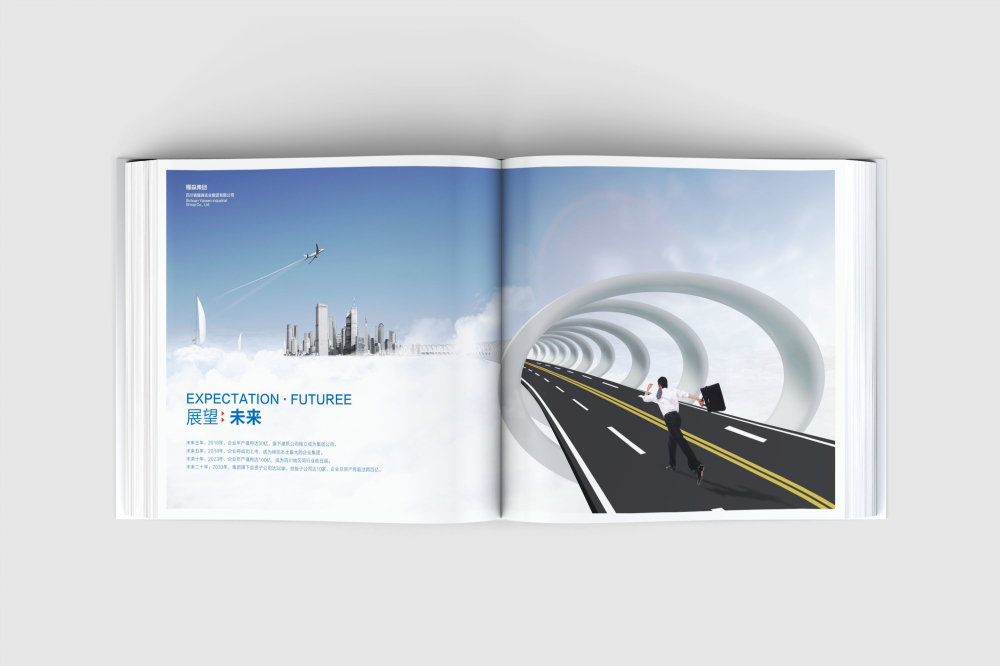 永胜县画册设计